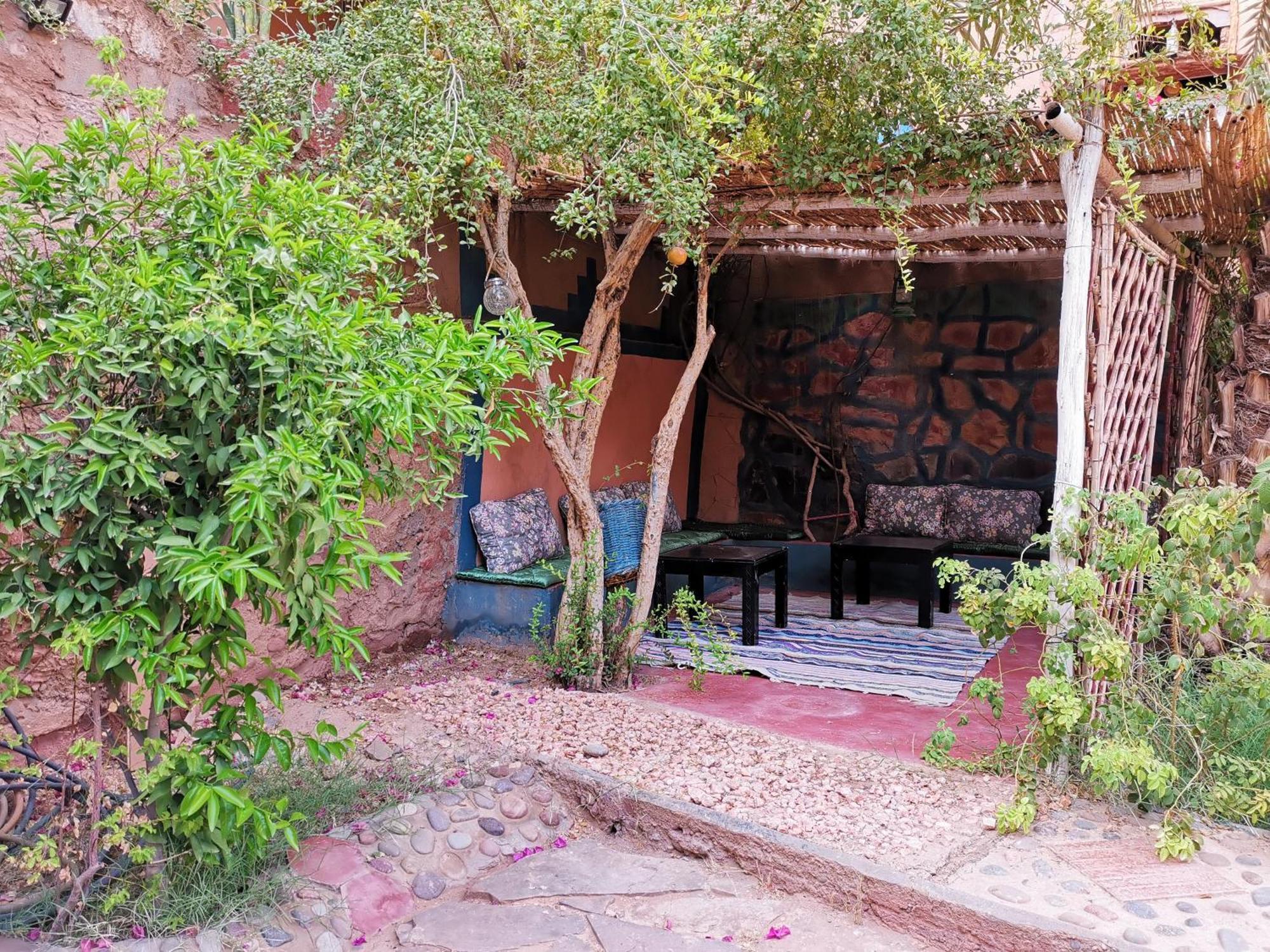 Riad Dar Zaouia Zagora Exterior photo